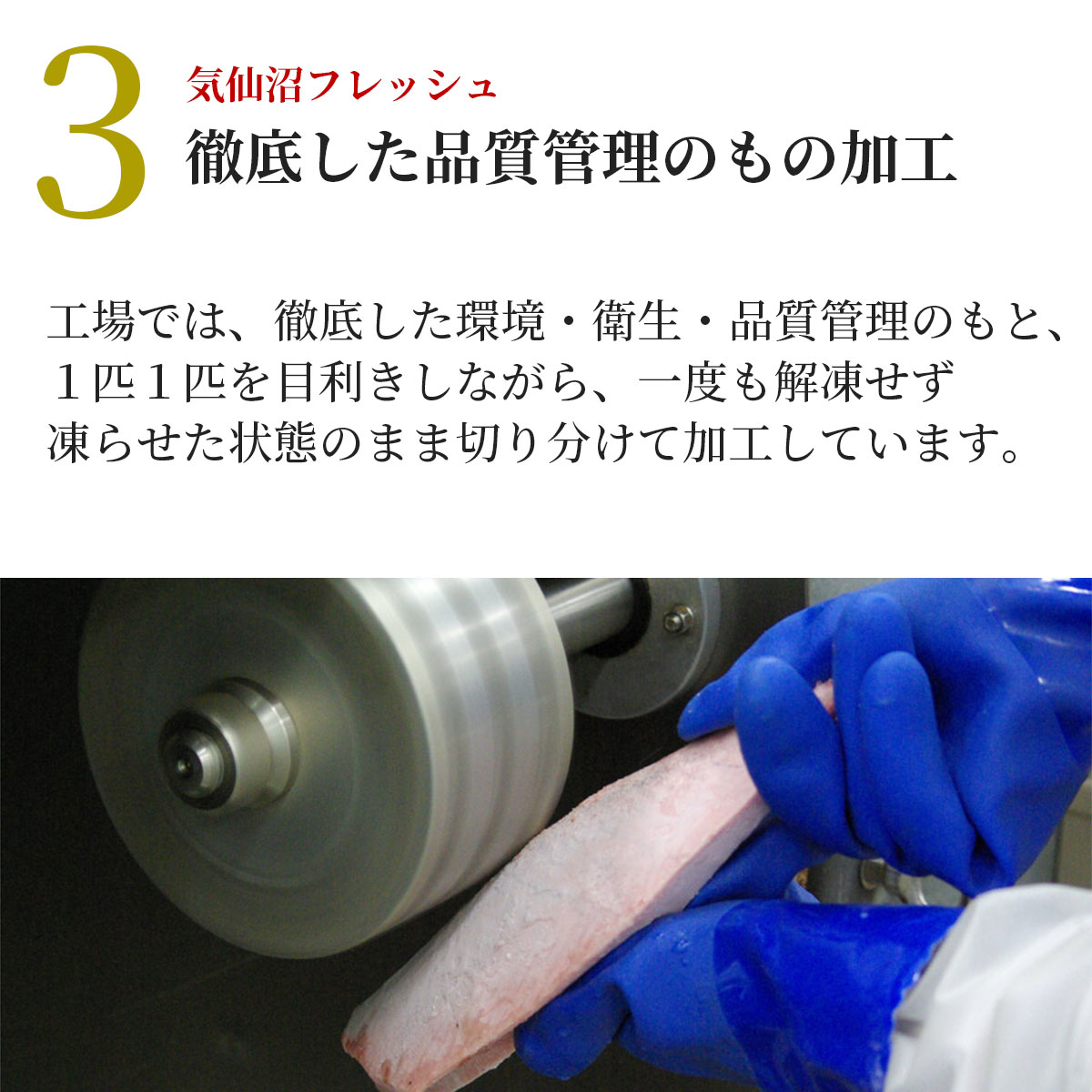 気仙沼港水揚げ お刺身用トロかつお 3～4筋（約1～1.2kg）冷凍 かつお漁船・亀洋丸が一本釣り