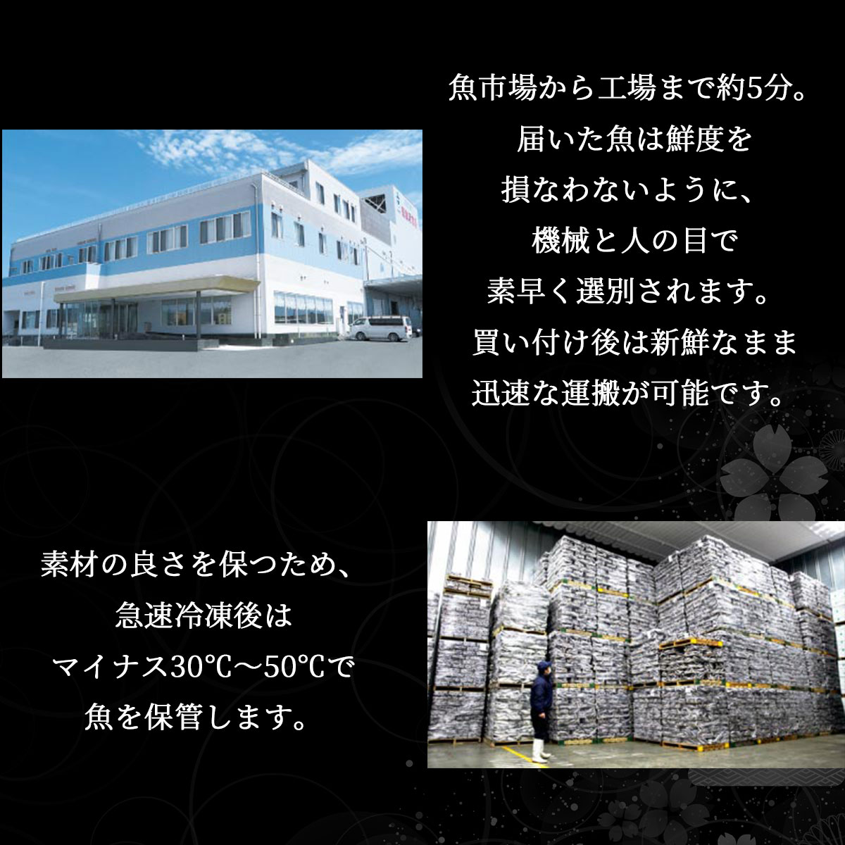 宮城県産 あぶり三昧 7種お刺身セット(めかじき・サーモン・びんちょうまぐろ・キハダマグロ・かつお・ぶり・サワラ)冷凍