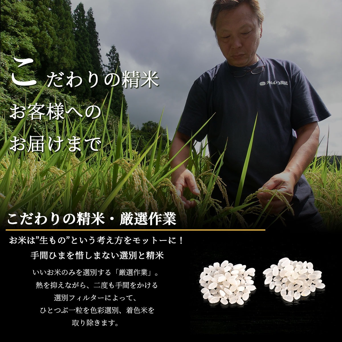令和7年産新米 新潟県魚沼産従来コシヒカリ 頂米 金兵衛&銀兵衛ギフトセット4kg(2kg×2袋)
