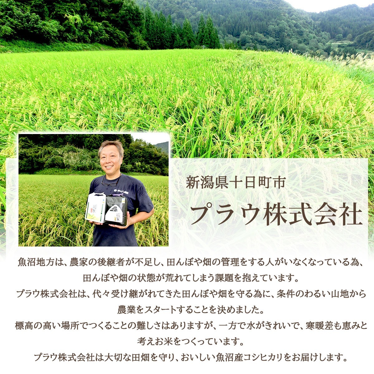 令和7年産新米　新潟県魚沼産コシヒカリ　頂米 銀兵衛ギフトセット4kg（2kg×2袋）