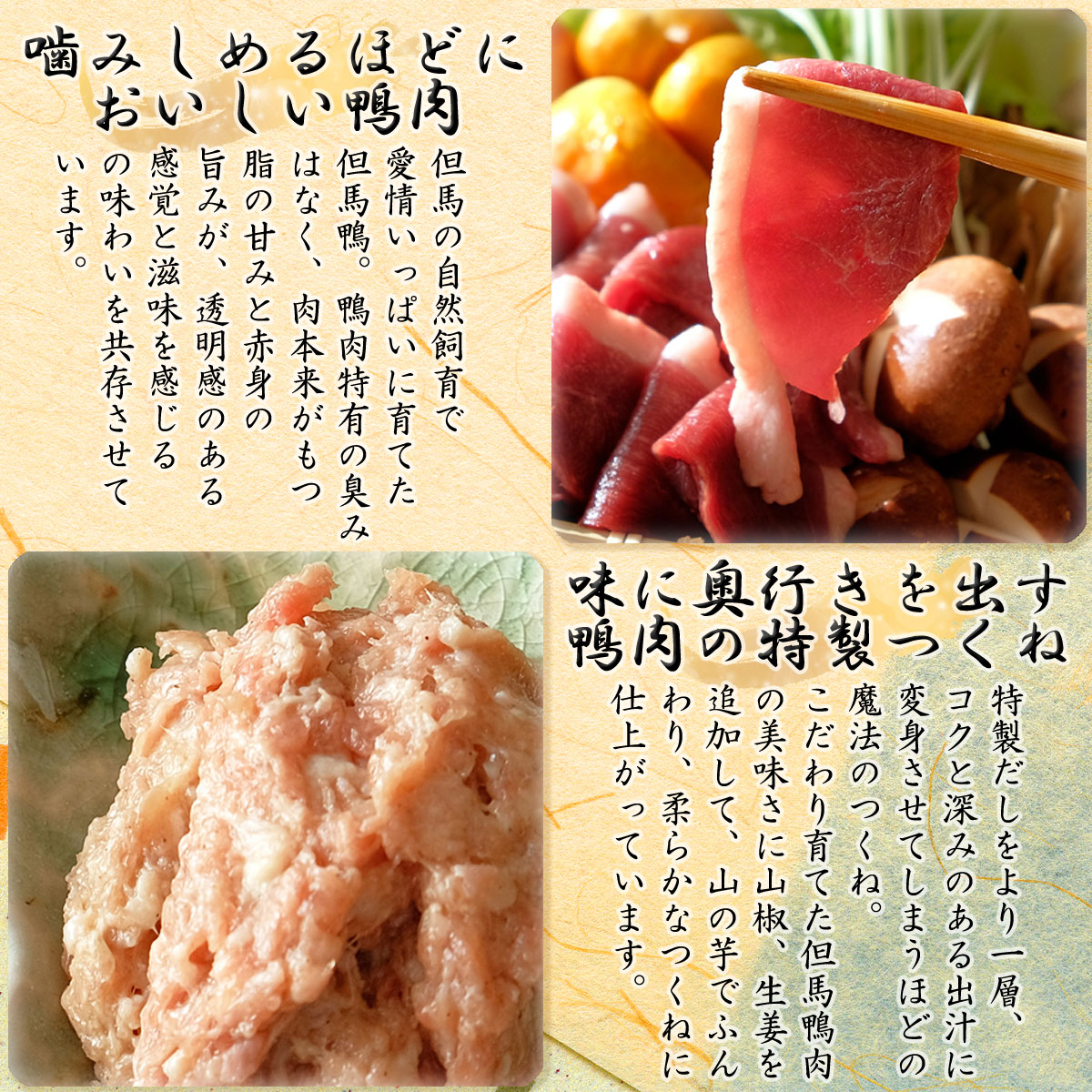 但馬鴨 鴨しゃぶセット3~4人前(冷凍)最高級合鴨 オーガニックファームたにぐち