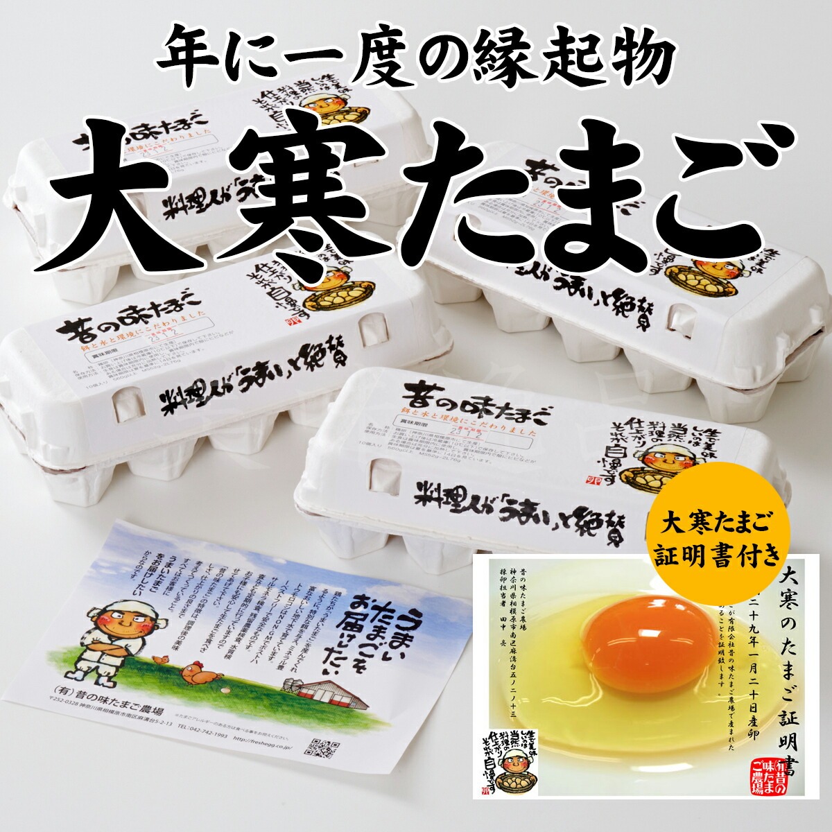 大寒たまご（大寒卵証明書付）昔の味たまご10個4パック（40個）
