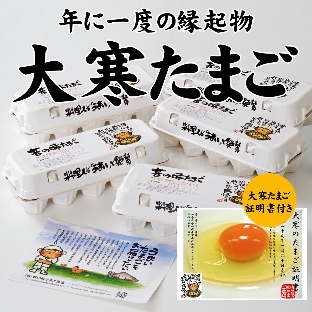 大寒たまご（大寒卵証明書付）昔の味たまご10個5パック（50個）