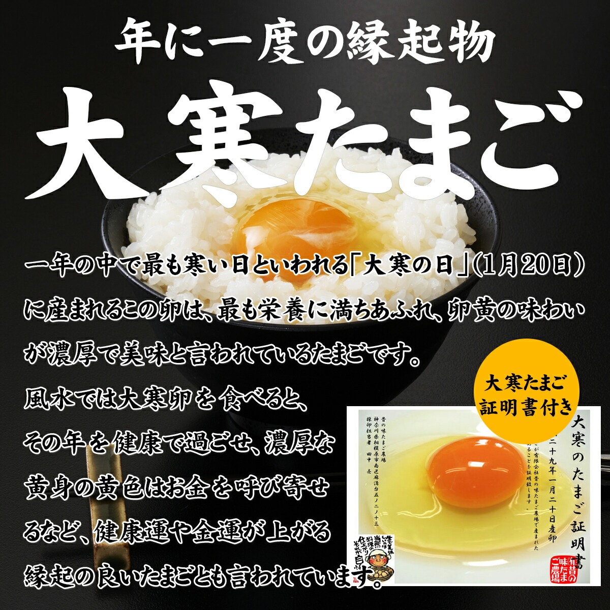 大寒たまご(大寒卵証明書付)昔の味たまご10個5パック(50個)【数量限定!無くなり次第終了】