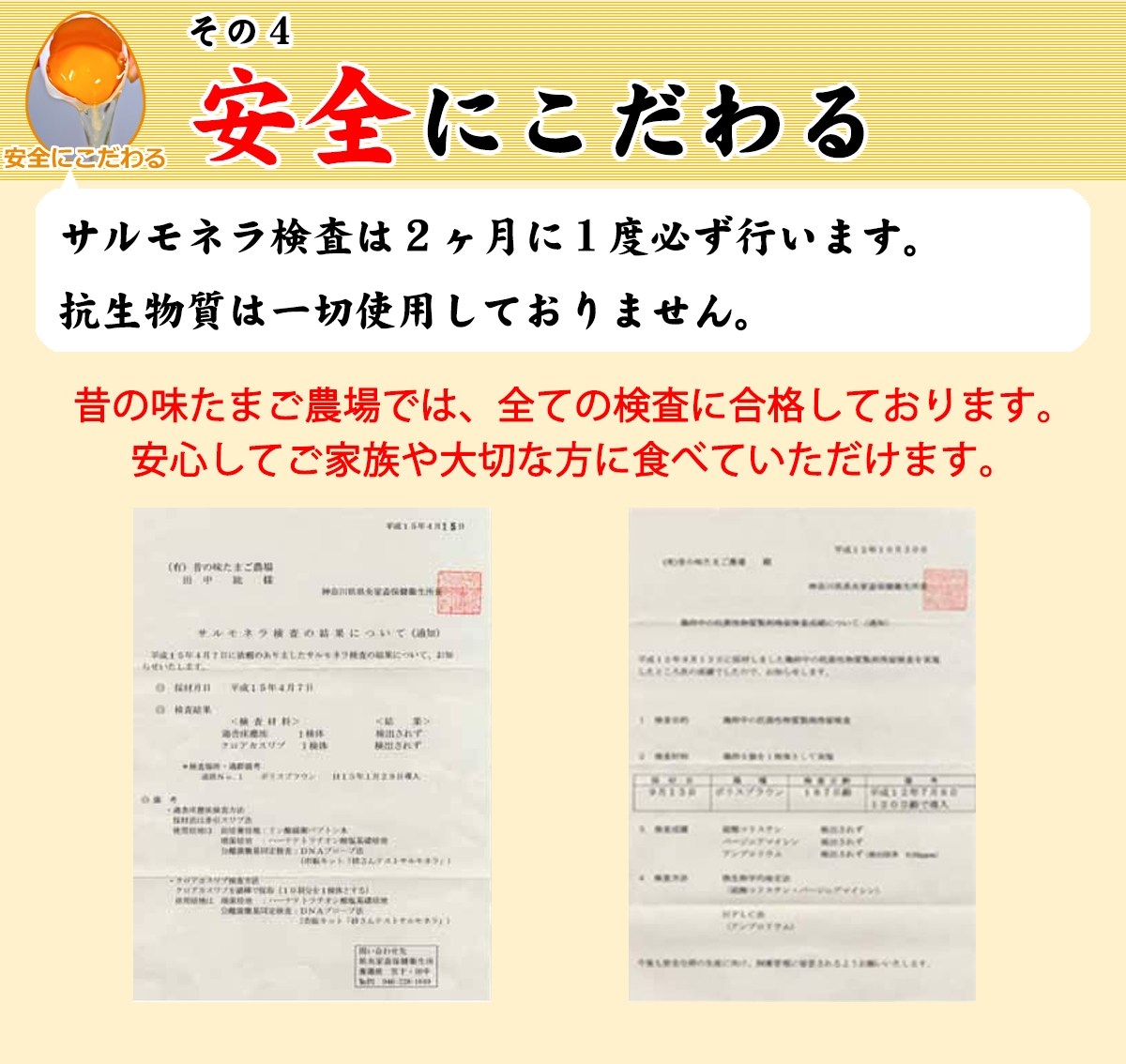 大寒たまご(大寒卵証明書付)昔の味たまご10個5パック(50個)【数量限定!無くなり次第終了】