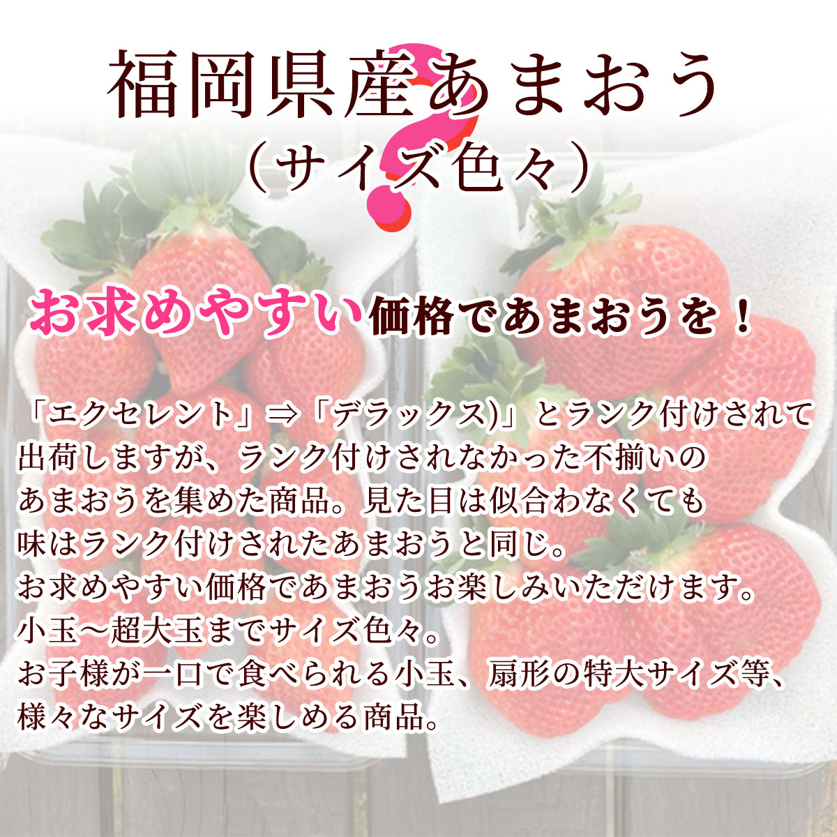 あまおう約540g（270g×2パック）サイズ色々　福岡県の苺農家うるう農園から産地直送