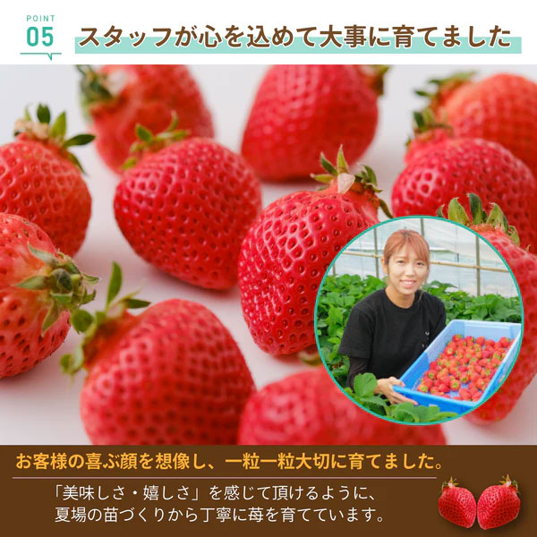 あまおう約540g（270g×2パック）サイズ色々　福岡県の苺農家うるう農園から産地直送