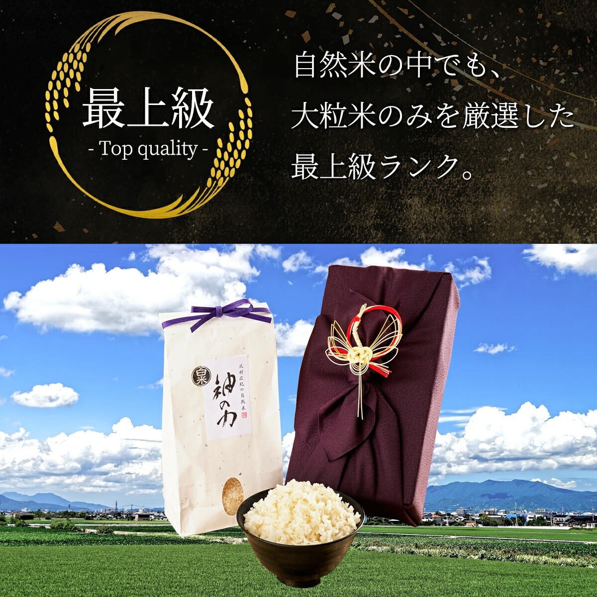 ［白米・玄米選択可］自然米コシヒカリ「神の力」1kg　桐箱・風呂敷包み（桜の初）無肥料・無農薬