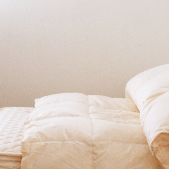 ϥ󥬥꡼ۥ磻ȥޥ93ߥե뱩ġ륷󡡥