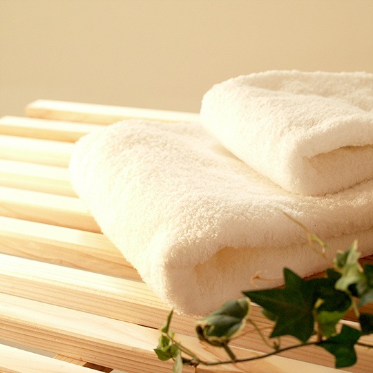 ������style�����롡�硡