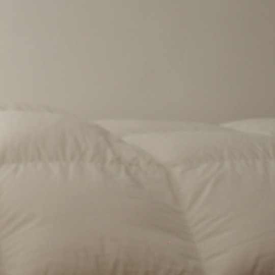 ϥ󥬥꡼ۥ磻ȥޥ93ġܳݤ