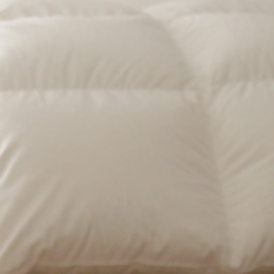 ϥ󥬥꡼ۥ磻ȥޥ93ġܳݤ