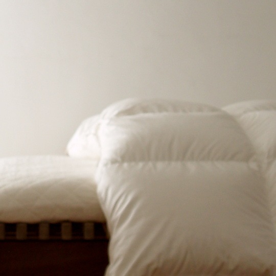 �ϥ󥬥꡼�ۥ磻�ȥޥ���������������93�������ġ��ܳݤ������֥�