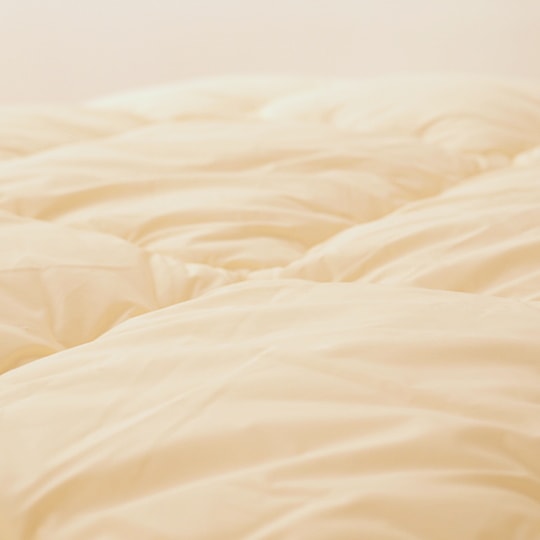 ɥ˳ݤ 륷 (եߥ(R) FRESH 7 錄˥֥