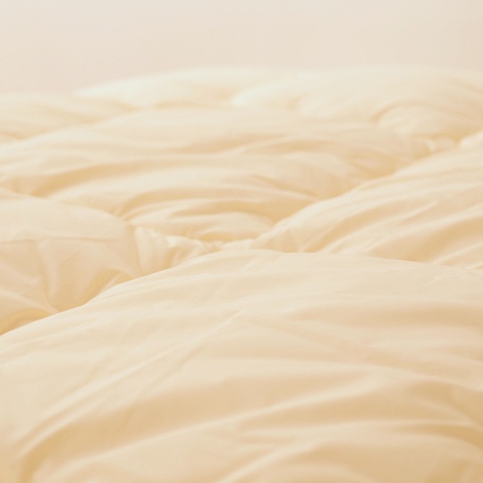 �ɥ��˳ݤ����� �����륷������ (����ե�����ߥ�������(R) FRESH 7�� ��錄�˥��ߥ��֥�