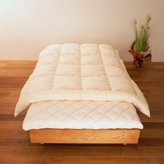 �ɥ��˳ݤ�����   (����ե�����ߥ�������(R) FRESH 7�� ��錄�ˡ�����˥�