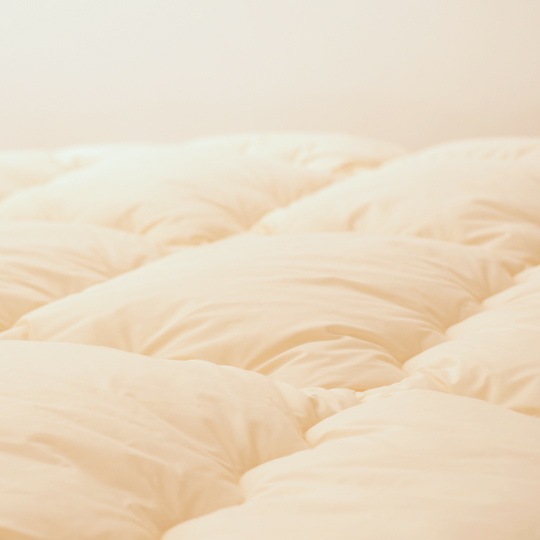 �ɥ��˳ݤ�����   (����ե�����ߥ�������(R) FRESH 7�� ��錄�ˡ�����˥�