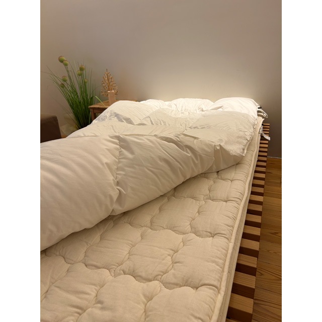 60ƥե󥹥ޥåġܳݤ