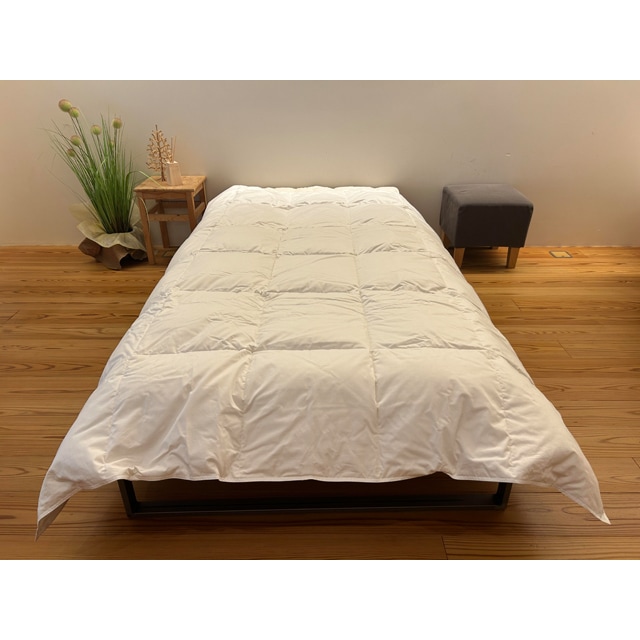 60ƥե󥹥ޥåġȩݤ