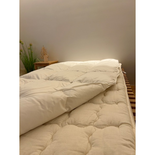 60ƥե󥹥ޥåġȩݤ