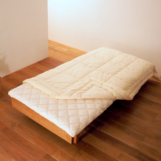 �ɥ���ȩ�ݤ����� (���餵�饳�åȥ�ߥ�������(R) FRESH 7�� ��錄�ˡ��٥ӡ�