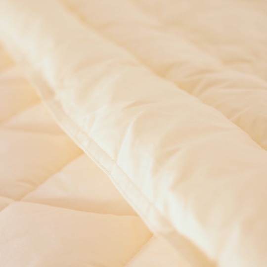 �ɥ���ȩ�ݤ����� (���餵�饳�åȥ�ߥ�������(R) FRESH 7�� ��錄�ˡ��٥ӡ�