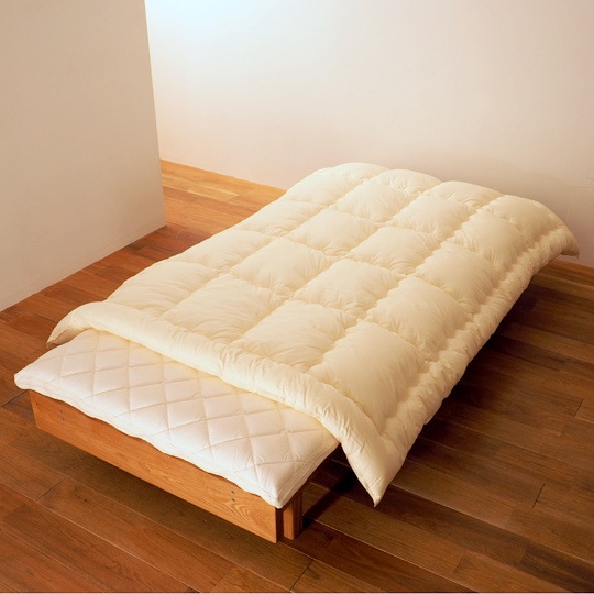 ɥ˳ݤ (餵饳åȥߥ(R) FRESH 7 錄ˡ