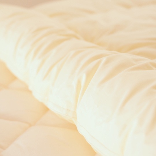 ɥ˳ݤ (餵饳åȥߥ(R) FRESH 7 錄ˡ