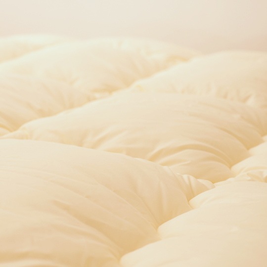 ɥ˳ݤ (餵饳åȥߥ(R) FRESH 7 錄ˡ