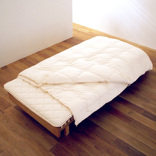 ˥ܥɥ˳ݤ ӥå 륷   (եˡߥ֥