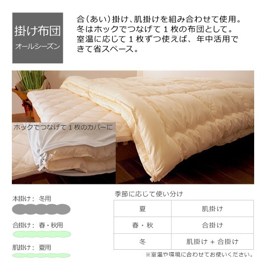 ˥ܥɥ˳ݤ ӥå 륷   (եˡߥ֥