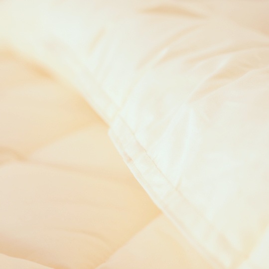 ������ݤ�����   (��������(R) FRESH 7�� ��錄�ˡ��٥ӡ�