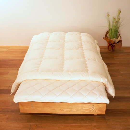 ������ݤ�����   (��������(R) FRESH 7�� ��錄�ˡ��٥ӡ�