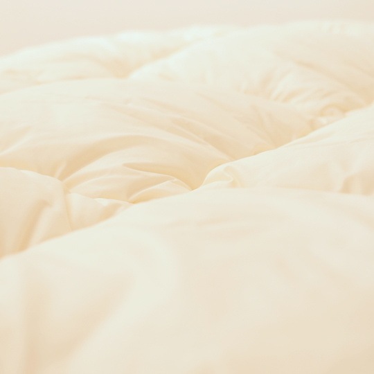 ������ݤ�����   (��������(R) FRESH 7�� ��錄�ˡ��٥ӡ�