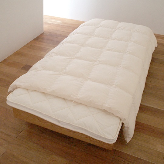 ˥���ܥ������ɥ��˳ݤ����� ���ӥ��å� (����ե�����ˡ����֥�