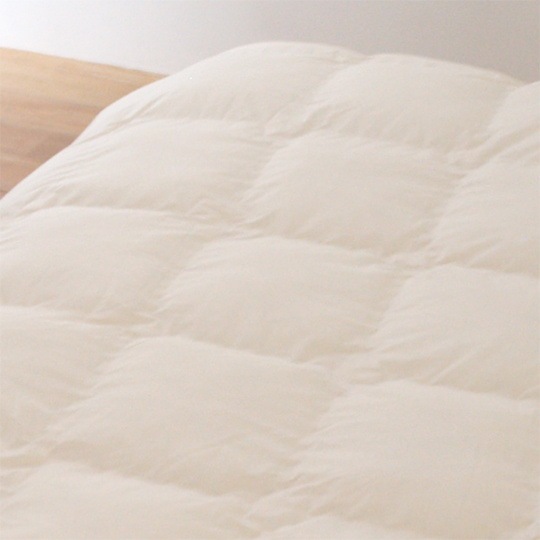 ˥ܥɥ˳ݤ ӥå (եˡߥ֥