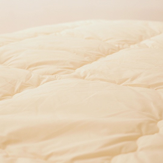 ɥȩݤ (餵饳åȥߥ(R) FRESH 7 錄ˡߥ֥