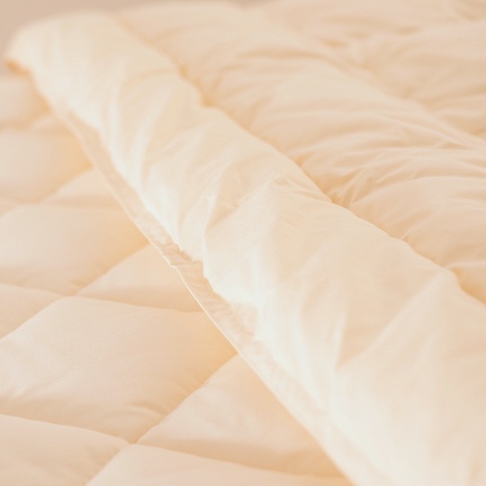 �ɥ���ȩ�ݤ�����   (����ե�����ߥ�������(R) FRESH 7�� ��錄�ˡ��٥ӡ�