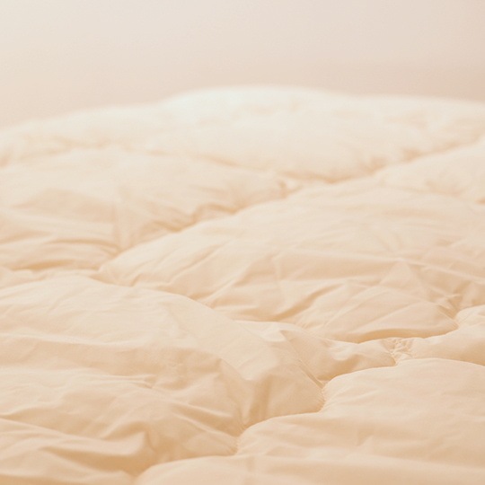 �ɥ���ȩ�ݤ�����   (����ե�����ߥ�������(R) FRESH 7�� ��錄�ˡ��٥ӡ�