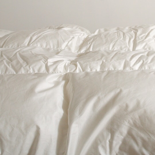 �ϥ󥬥꡼�ۥ磻�ȥޥ���������������93���100���ƥ������ġ������륷�����󡡥��֥�