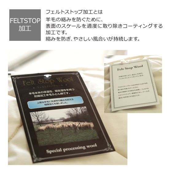 �����륦����Υ٥åɥѥåɡ����󥰥�