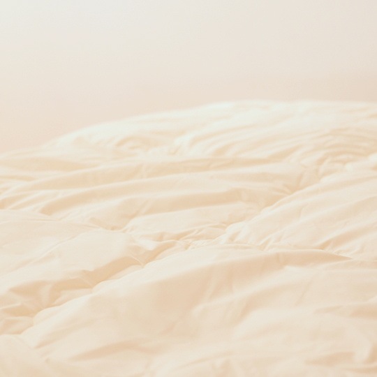 ������ȩ�ݤ�����   (��������(R) FRESH 7�� ��錄�ˡ�����˥�