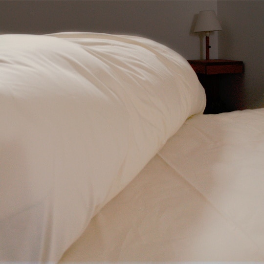 餵饳åȥɥ˥С꡼С3563cm63cmեʡ