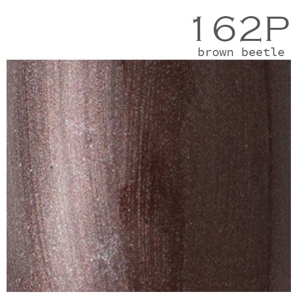 カラージェル 162P brown beetle（旧177P 3g）|プロ専用ネイル用品