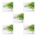 JAS有機冷凍いんげん　250gｘ5袋