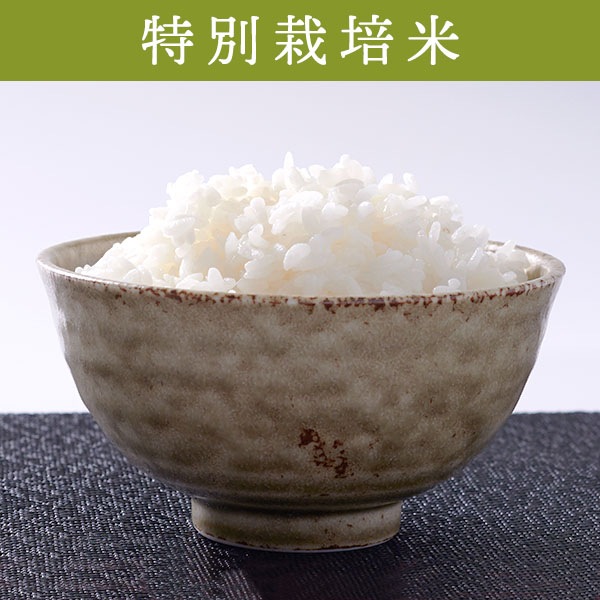 【送料無料】【5kg・特別栽培米】ふっくりんこ・白米