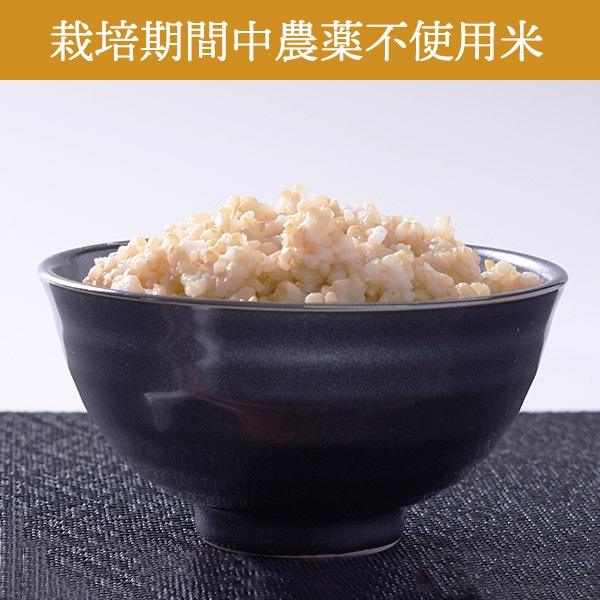 【送料無料】【5kg・栽培期間中農薬不使用米】ななつぼし・玄米