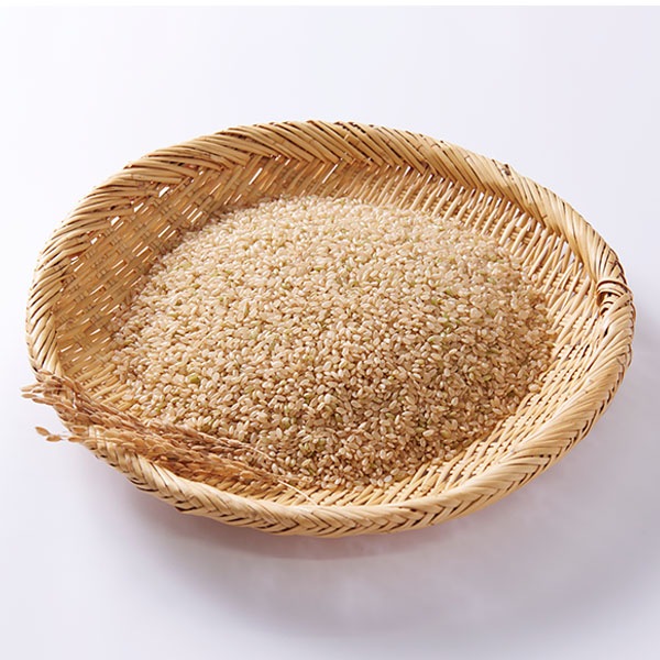 【送料無料】【5kg・特別栽培米】おぼろづき・玄米
