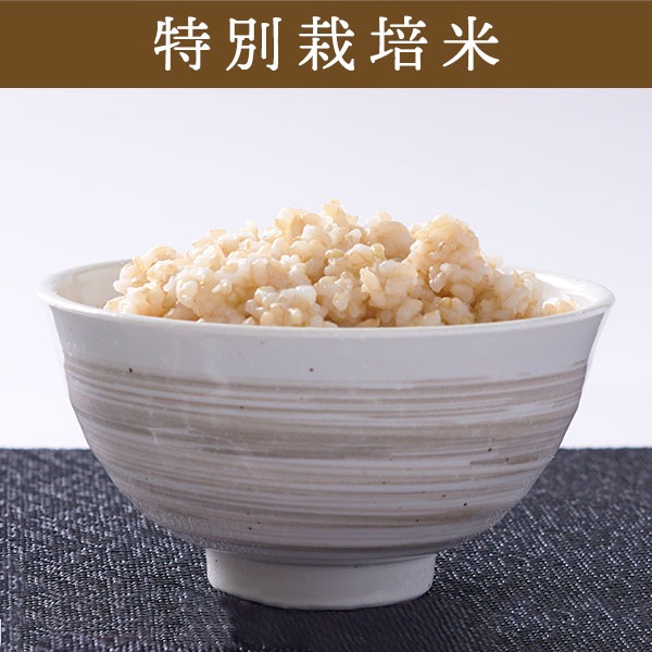 【送料無料】【5kg・特別栽培米】ゆめぴりか・玄米