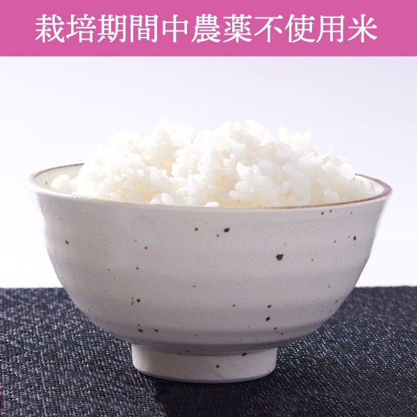 【送料無料】【10kg・栽培期間中農薬不使用米】きたくりん・白米